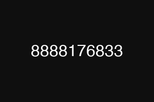 8888176833